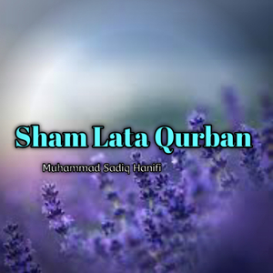 Sham lata qurban