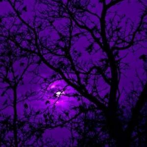 Metal (feat. DeadTxN)