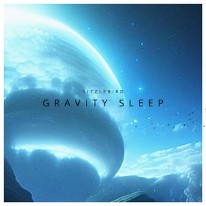 Gravity Sleep