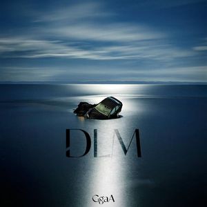 DLM