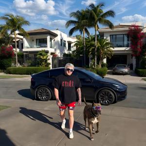 pitbull
