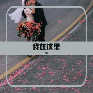 我在这里(Here I Am Again)