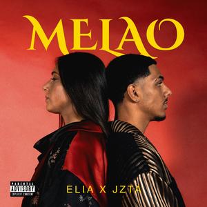 MELAO