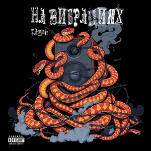 На вибрациях (prod. by ANONIM)