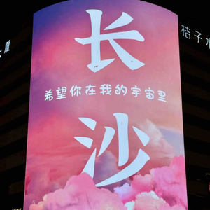 晚夜微雨问海棠