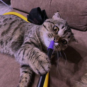 Инопланетянин