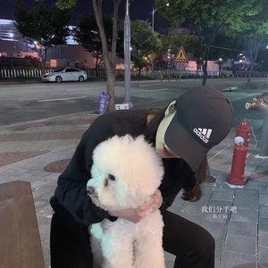 我多想能多陪你一场