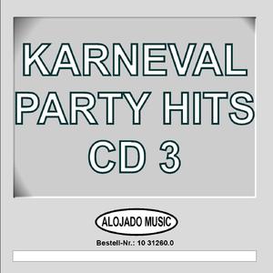 Steuerzahlers Hitparade (Potp.)