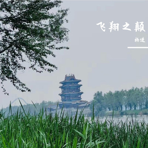 飞翔之巅