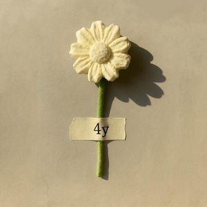 4y