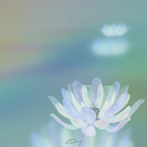 凌晨一点钟(Prod.Panndi)