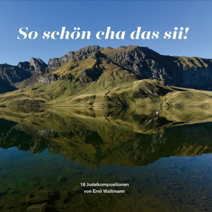 Träne I De Auge