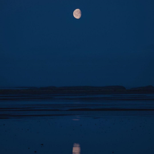 我不该向你说那么多毫无意义的话……