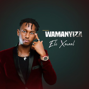 Wamanyiza