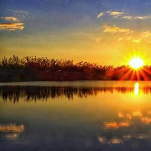 我的星星等着我