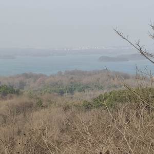 山海