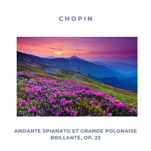 Andante spianato et Grande polonaise brillante, Op. 22: No. 2 in E-Flat Major Grande polonaise brillante. Allegro molto