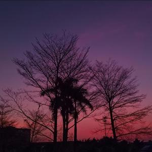 Only LoVE fOR You（prod woodsway）