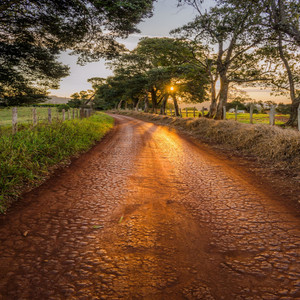 Boiadeiro da Estrada
