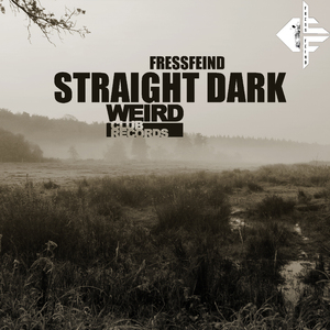 Straight Dark (Kai Pattenberg Remix)