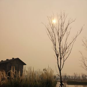 情深泽普