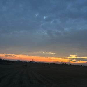 要山要海要自由