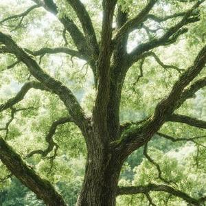 假如晚点遇见你