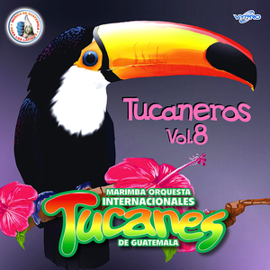 Norteñas Tucaneras 8: Cielo Nublado / Entre Más Lejos Me Vaya / Jefe de Jefes / La Mesera