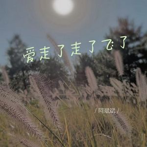 爱走了走了飞了