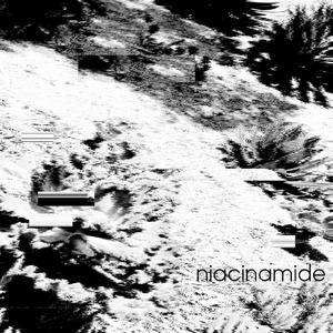 Among The Savage Branches