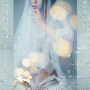 夢の欠片