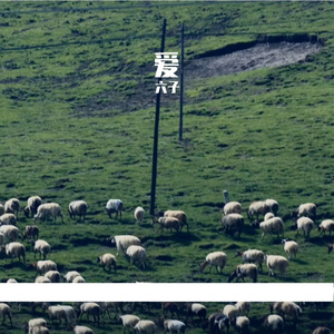 心中的爱与梦
