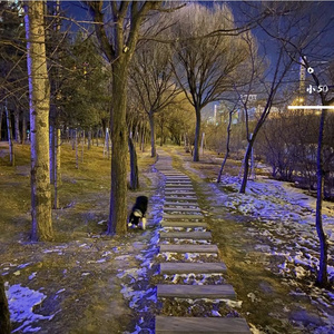 为你做的歌PROD BY GAT CREW