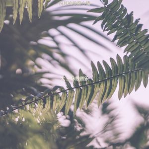 精彩回春环境