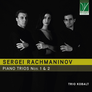 Trio No. 2 in D Minor:III. Allegro risoluto
