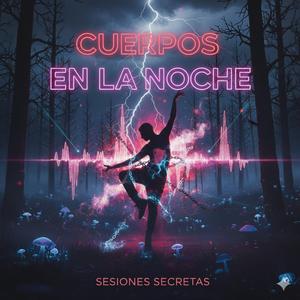 cuerpos en la noche