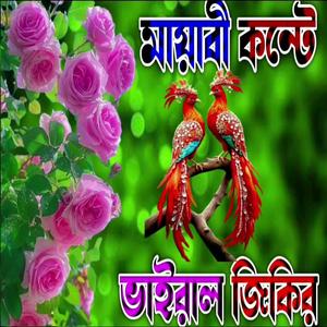 মায়বী কন্টে জিকির আমার আল্লাহ আল্লাহ