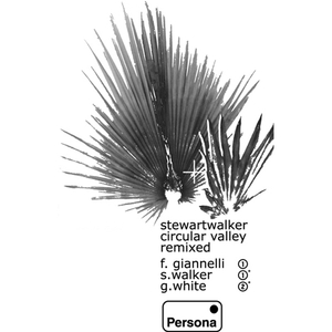 Circular Valley (Geoff White Remix)