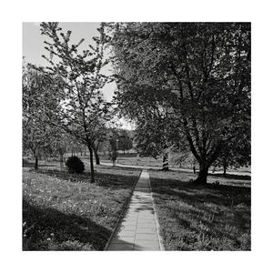 Summer 89 (Recollections)