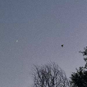 " 你 我 山 巅 自 相 逢 "