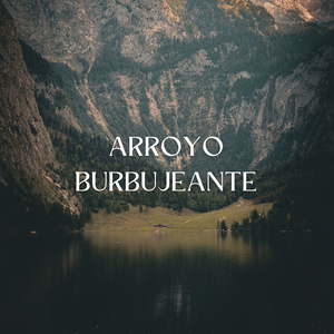 Tazones Cortos