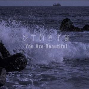 you are beautiful（网剧《寒武纪》（翻自 刘沁）