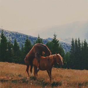 Vão ter que me aturar