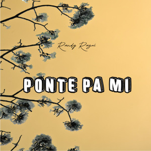 Ponte Pa Mi