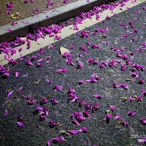 我总是崩溃到哭