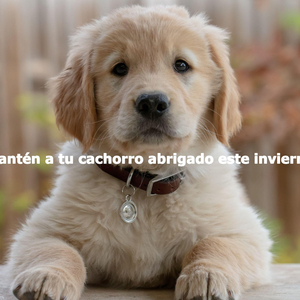 Chilled (Storms and Rain)