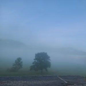 Foggy Memory