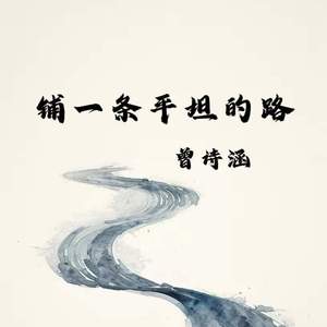 铺一条平坦的路 (DJ版)