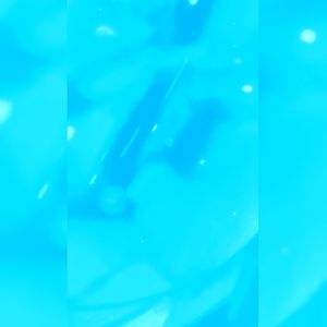 Dance (if your heart aches, if you're near me) (スタジオ)