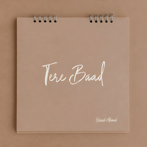 Tere Baad